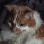 Profile Picture of Jake Dalton (@Cdswevnnjyfd) on Youtube