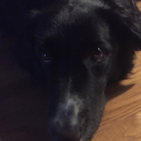 Profile Picture of Ryan Byall (@ryanbyall) on Poshmark