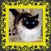 Profile Picture of Marilyn Neilson (@marilyn.neilson.90) on Facebook