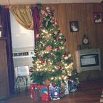 Thomas Sisk - Instagram Profile Picture of Thomas Sisk (@thomas.sisk.129) on Instagram