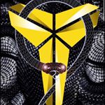 Profile Picture of Matthew Cottrill (@mad_venomus_viper) on Instagram