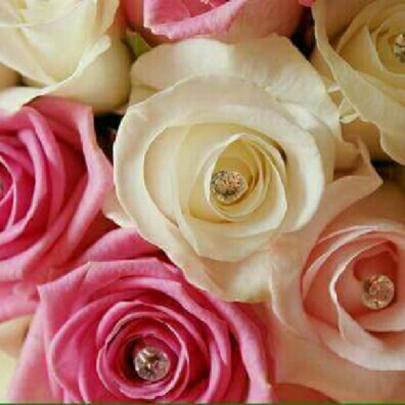 Profile Picture of Aylene Gonzalez (@ayleneg) on Poshmark