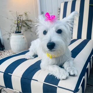 Profile Picture of Sherry Vaught (@sherryvaught) on Instagram