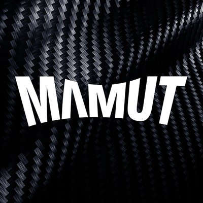 Profile Picture of Mamut (@Mamut_VR) on Twitter