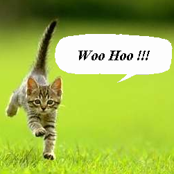 Profile Picture of Bob & CeCe Barquist (@BobnCC) on Twitter