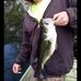 Profile Picture of Jared Mudd (@Jared-Mudd) on Facebook