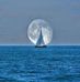 Profile Picture of Robert Valero (@robert.valero.7127) on Facebook