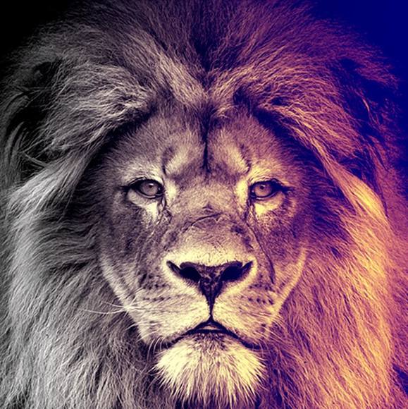 Dylan Farias - Poshmark Profile Picture of Dylan Farias (@dill123) on Poshmark