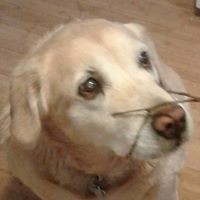 Profile Picture of Robin Dugan (@robin-dugan-1) on Quora
