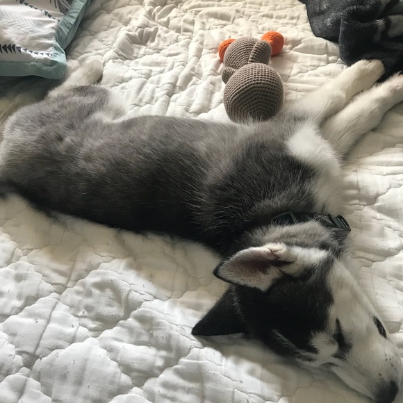 Profile Picture of Cory Barajas (@corybarajas1992) on Poshmark