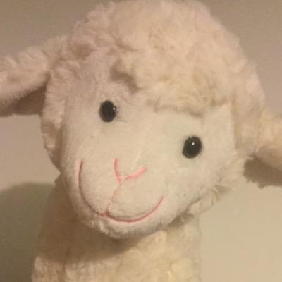Profile Picture of Thomas McDermott (@thommcderm) on Twitter