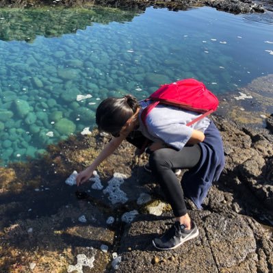 Addy Chew - Twitter Profile Picture of Addy Chew (@addy_adeline) on Twitter