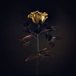 Profile Picture of Toby Curtis (@t_curtis43) on Instagram