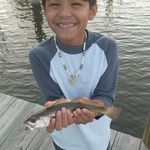 Profile Picture of Ralph Perales (@ille.st_mrgreat) on Instagram