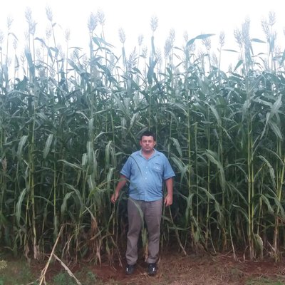 Profile Picture of Anibal Daniel Gallas (@GallasAnibal) on Twitter
