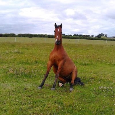 Profile Picture of Kimdickson39 (@KimDick90282901) on Twitter