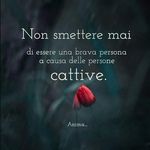 Profile Picture of Daniela Mandachi (@danielamandachi) on Instagram