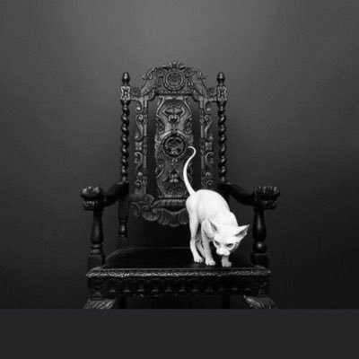 Profile Picture of Fernando Irigoyen Cova (@IrigoyenCova) on Twitter