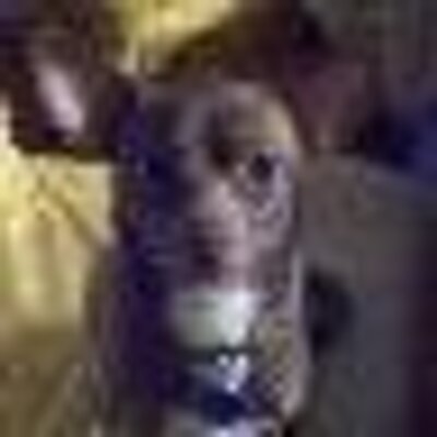 Profile Picture of Lynnette Thompson (@devylynne) on Twitter
