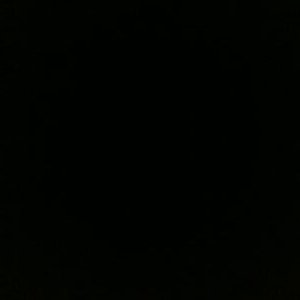 Profile Picture of Demetrius Wheeler (@DemetriusAWhee1) on Twitter