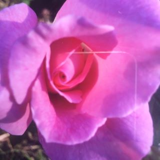 Profile Picture of Gloria Keen (@gloria.keen.737) on Facebook