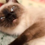 Profile Picture of raquel hayes (@raquel023leq) on Instagram