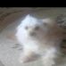 Profile Picture of Roxanne Roberts (@roxanne.roberts.96592) on Facebook