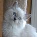 Profile Picture of Maureen Weichers (@mojo1169) on Pinterest