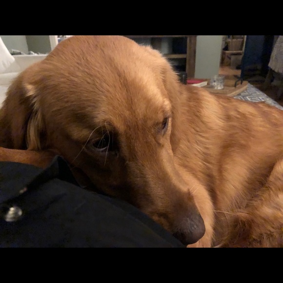 Thomas Hayman - Poshmark Profile Picture of Thomas Hayman (@tbiggs2414) on Poshmark