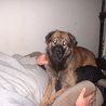 Profile Picture of Jerry Chumbley (@jerry.chumbley.39) on Facebook