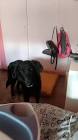Profile Picture of   TikTok de Luz Suarez... (@luzsuarez567) on Tiktok
