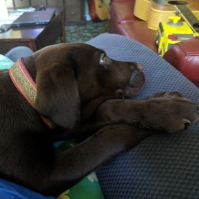 Profile Picture of Sandi Riley Swift (@Gutkowski_V_) on Twitter