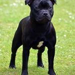 Profile Picture of Philip Freeman (@philip.freeman.50) on Instagram