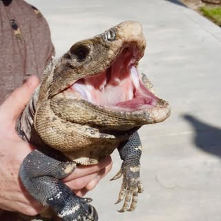 Profile Picture of Edward Pearl (@pearl_edward) on Instagram