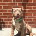 Profile Picture of Jess Tomlin (Brickyard Bullies) (@jess.tomlin.31) on Facebook