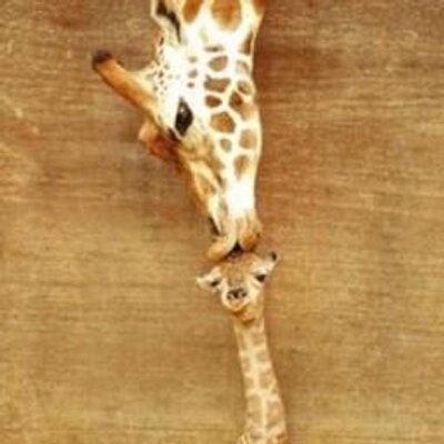 Profile Picture of Kristi Lucas (@kristi7200) on Twitter