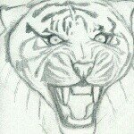Profile Picture of Alex Guillermo (@alex.guillermo.355) on Instagram