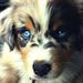 Profile Picture of EVAN JOSEPH (@22josee) on Pinterest