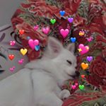 Profile Picture of vu nguyet minh🖤 (@nmiing_) on Instagram