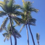 Profile Picture of Eldon Decomer (@Eldon-Decomer) on Facebook