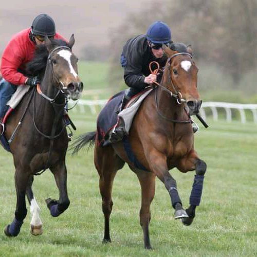 Profile Picture of James Merrett (@jamesmerrett4) on Tiktok