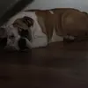 Profile Picture of ericmalonson4 (@ericmalonson4) on Tiktok