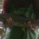 Profile Picture of Nicholas Waters (@trickynicky2012) on Instagram