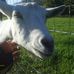 Profile Picture of Hannah Coffey (Hannah Fail) (@hannah.coffey.180) on Facebook