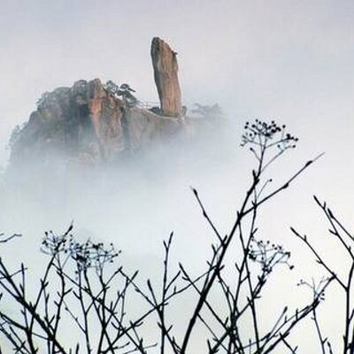 Profile Picture of Hang_Zhang (@stone_nod) on Twitter