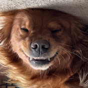 Profile Picture of Isaac Kimmel (@IsaacKimmel) on Youtube