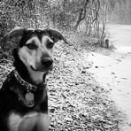 Collin Haynie - Facebook Profile Picture of Collin Haynie (@collin.haynie.9) on Facebook