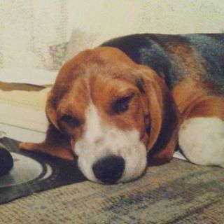 Profile Picture of Harold Roberts (@harold.roberts) on Facebook