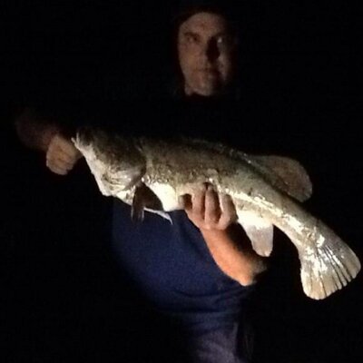 Profile Picture of Simon D'Elia (@delia_simon) on Twitter