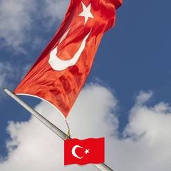 Profile Picture of furkan (@alannull0) on Tiktok